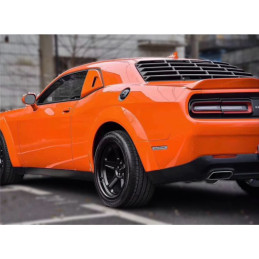 Rozšiřujíce blatníky