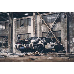 Kryt zadního difuzoru