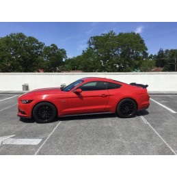 Zadní  křídlo matne