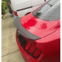 Zadní  křídlo matne