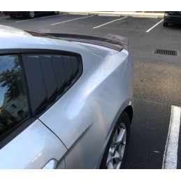 Zadní křídlo Smoke Black