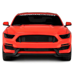 Vyměnitelný spojler na nárazník pro přední nárazník GT350 Styl