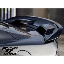 Zadní přítlačné křidlo GT500