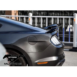 Zadní přítlačné křidlo GT500