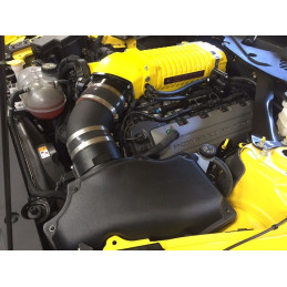 Whipple Stage 1 Mustang GT Supercharger System (2015-2017)
