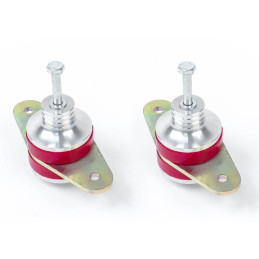 Nastavitelné držáky motoru Steeda