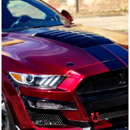 Piny kapoty pro GT500