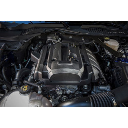 servisní prohlídka mustang