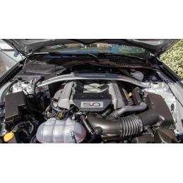 servisní prohlídka mustang