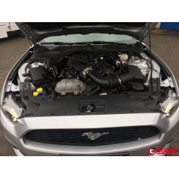 servisní prohlídka mustang