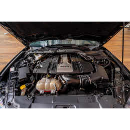 servisní prohlídka mustang