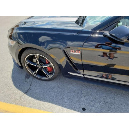 Blatniky GT350 pro Mustang 2015-2017
