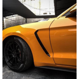 Blatniky GT350 pro Mustang 2015-2017