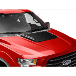 Mřížka  na kapotu RAPTOR Style (FORD F150 2015-2021)