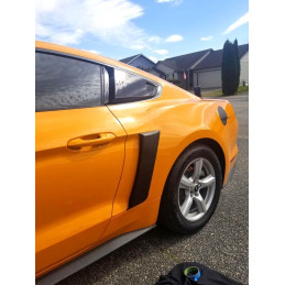 Nádechy bočních blatníků