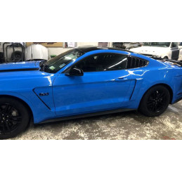 Nádechy bočních blatníků