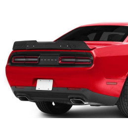 Wicker Bill pro spoiler R / T Scat Pack