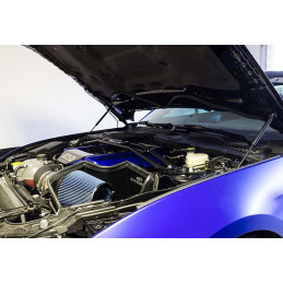 Steeda S550 Mustang Hood Strut Kit