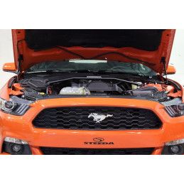Steeda S550 Mustang Hood Strut Kit