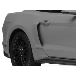 Nádechy bočních blatníků - velké