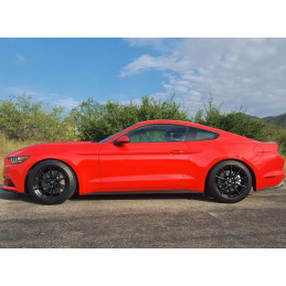 Steeda S550 Mustang Lowering Springs Ultralite Linear - Regular Drop