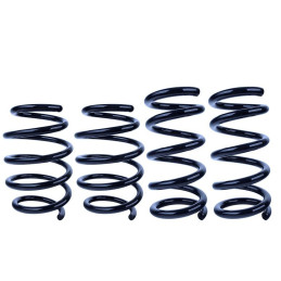 Steeda S550 Mustang Lowering Springs Ultralite Linear - Regular Drop