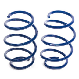 Steeda S550 Mustang Lowering Springs - MagneRide