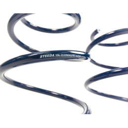 Steeda S550 Mustang Lowering Springs - MagneRide