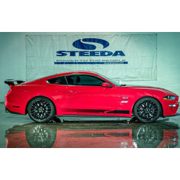 Steeda S550 Mustang Lowering Springs - Competition Dual Rate Springs