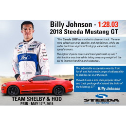 Steeda S550 Mustang Lowering Springs - Competition Dual Rate Springs