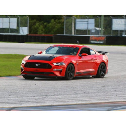 Steeda S550 Mustang Lowering Springs - Competition Dual Rate Springs
