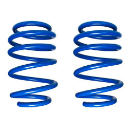 Steeda S550 Mustang Lowering Springs - Competition Dual Rate Springs