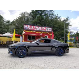 Nádechy bočních blatníků - velké