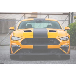 Odsavače tepla ROUSH MUSTANG 2018-2023 s LED