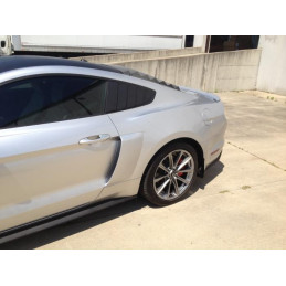 Nádechy bočních blatníků - velké