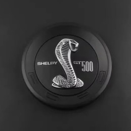 Logo zadního deklu kufru