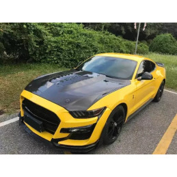 Karbonová kapota GT500