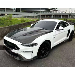 MRD karbonova kapota 2