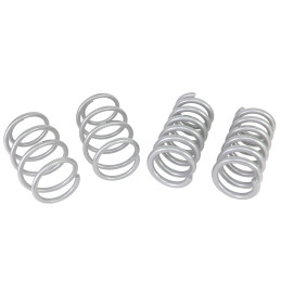 Pružiny pro Mustang S550/S650 GT od roku výroby 2015