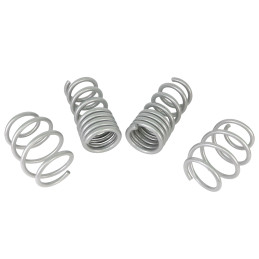 Pružiny pro Mustang S550/S650 GT od roku 2018