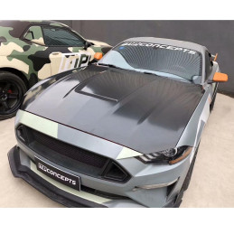 Kapota GT350 pro vozy Mustang 2018-2020