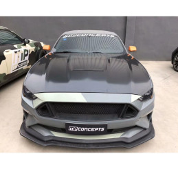 Kapota GT350 pro vozy Mustang 2018-2020