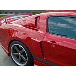 Boční nádechy Cervini's