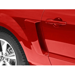 Boční nádechy Cervini's